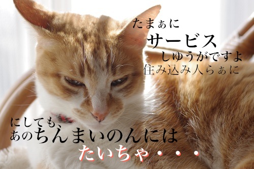 IMGP88571.jpg
